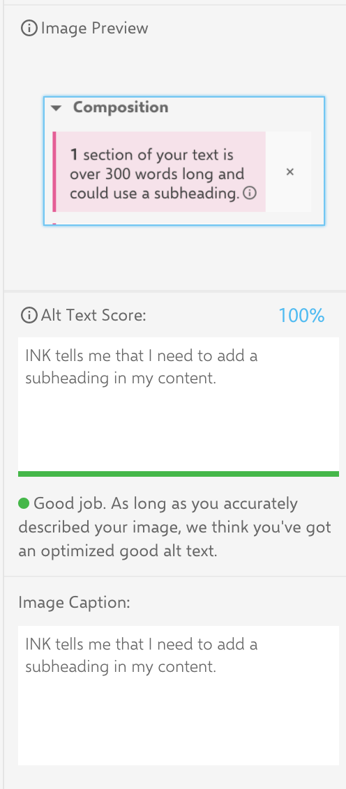 INK optimizes my images for me. It rates my alt text score and image caption.