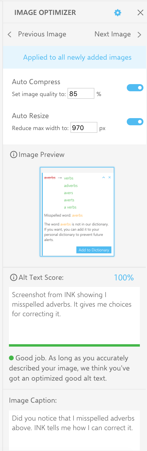screenshot from INK helping me optimize the previous screenshot.