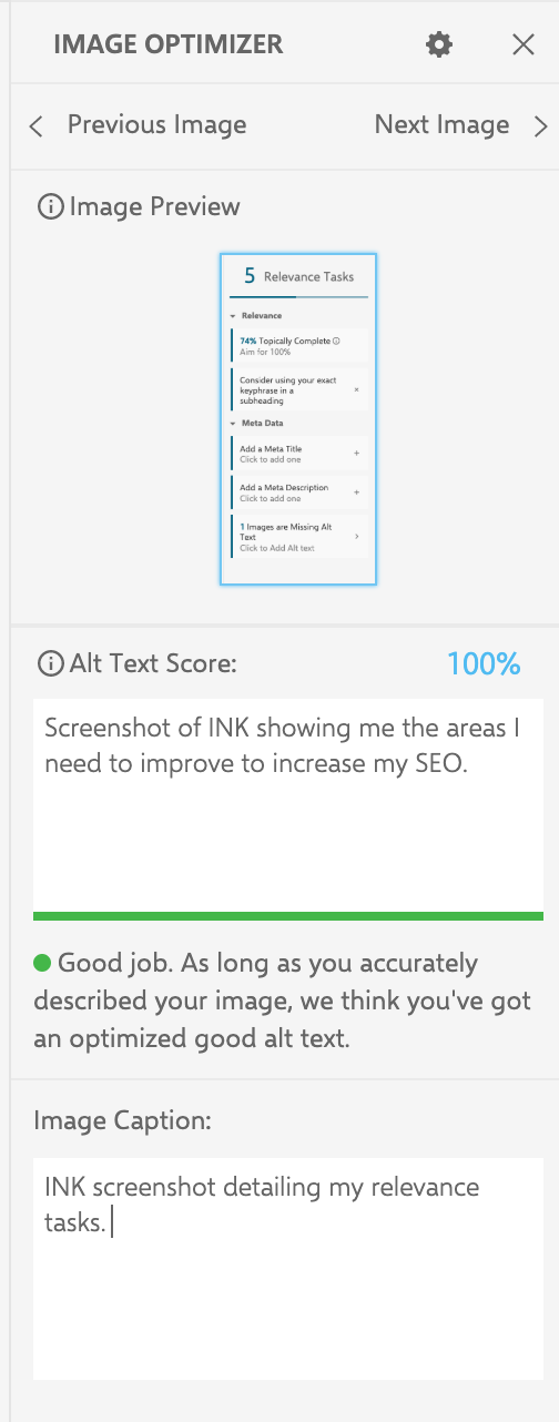INK image optimizer helps with image size, alt text score and image caption.