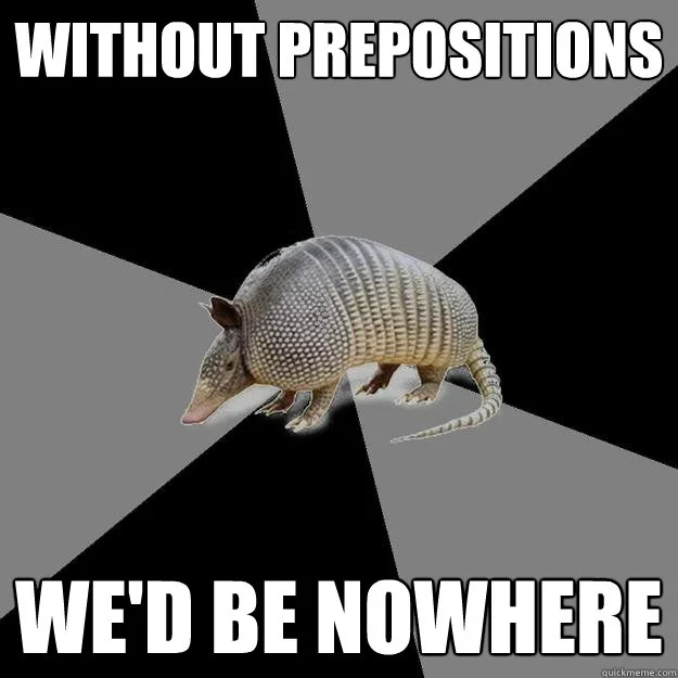 A meme depicting an armadillo with the words "Without prepositions, we'd be nowhere"