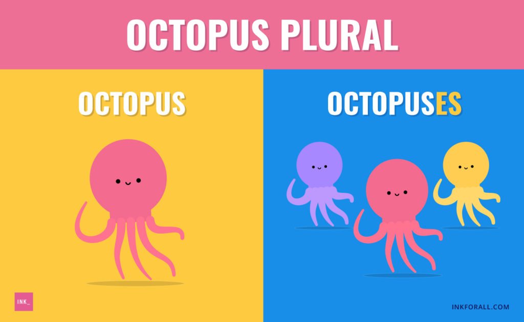 Octopus plural. Left panel shows and octopus. Right panel shows three octopuses.
