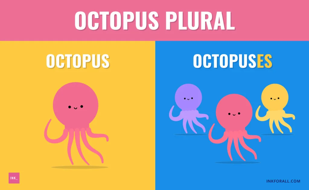 Octopus plural. Left panel shows and octopus. Right panel shows three octopuses.